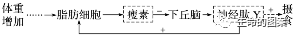 【高考备考】长句表达规范练 第8张