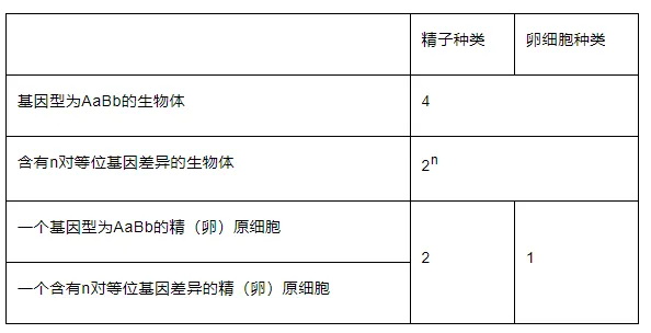 高考生物 | 减数分裂知识点总结! 第1张