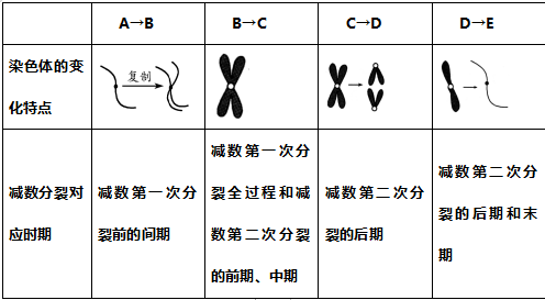 高考生物 | 减数分裂知识点总结! 第7张