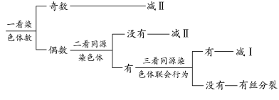 高考生物 | 减数分裂知识点总结! 第4张