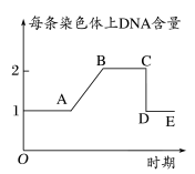 高考生物 | 减数分裂知识点总结! 第6张