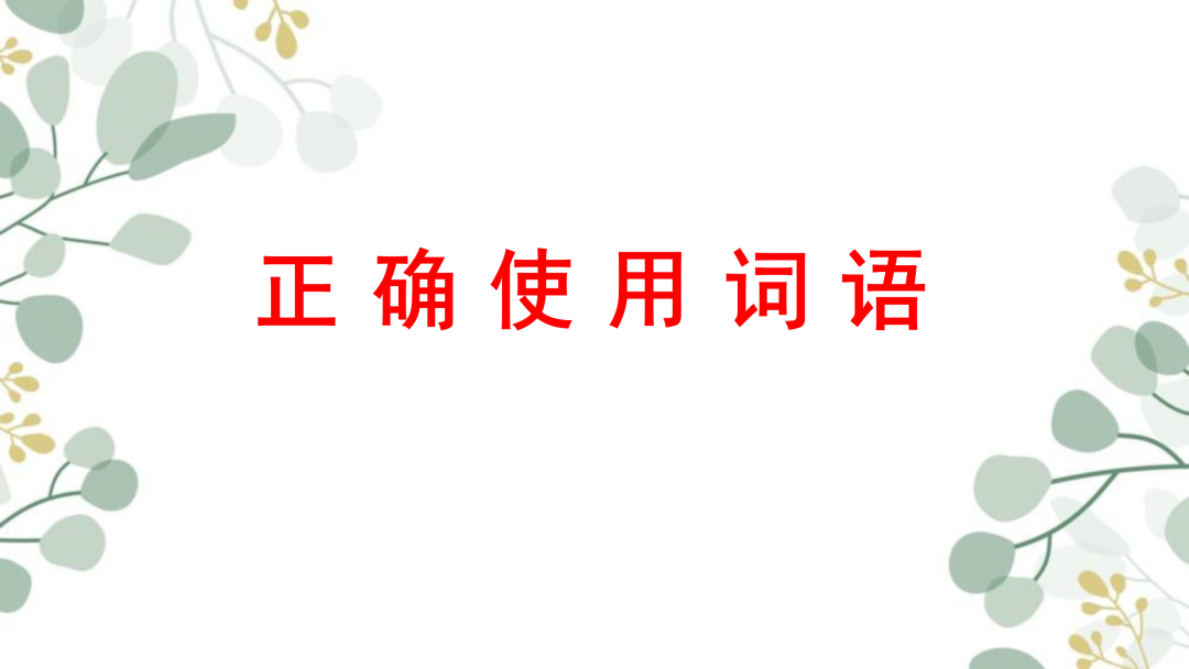 2024高考语文二轮复习专题考点知识训练!(25) 第25张