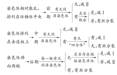 高考生物 | 减数分裂知识点总结! 第5张