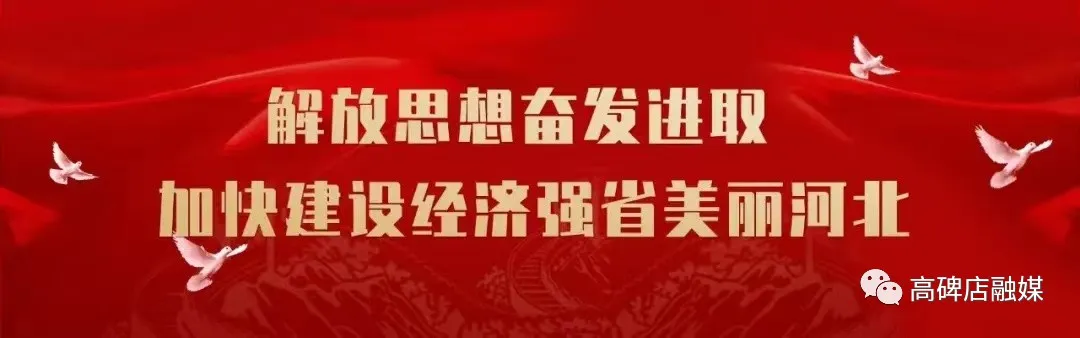 点燃激情  决战高考 | 全国著名教育专家王金战来高碑店一中作专题励志讲座 第1张