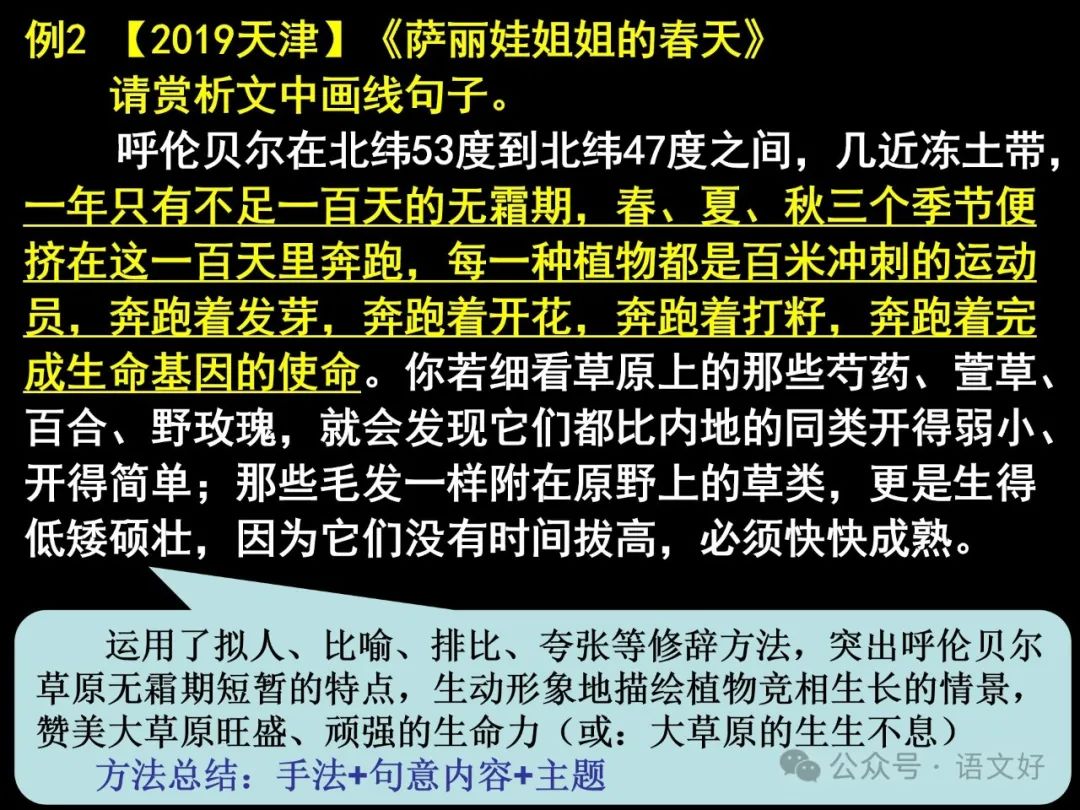 2024高考散文阅读课件4合1(多类题型,链接高考) 第63张