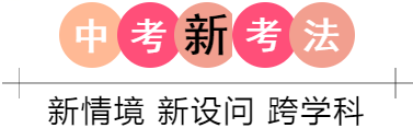 【题源解密】备战2024年中考物理真题题源解密:专题15电功率(中考新考法+真题透视+新题特训) 第67张