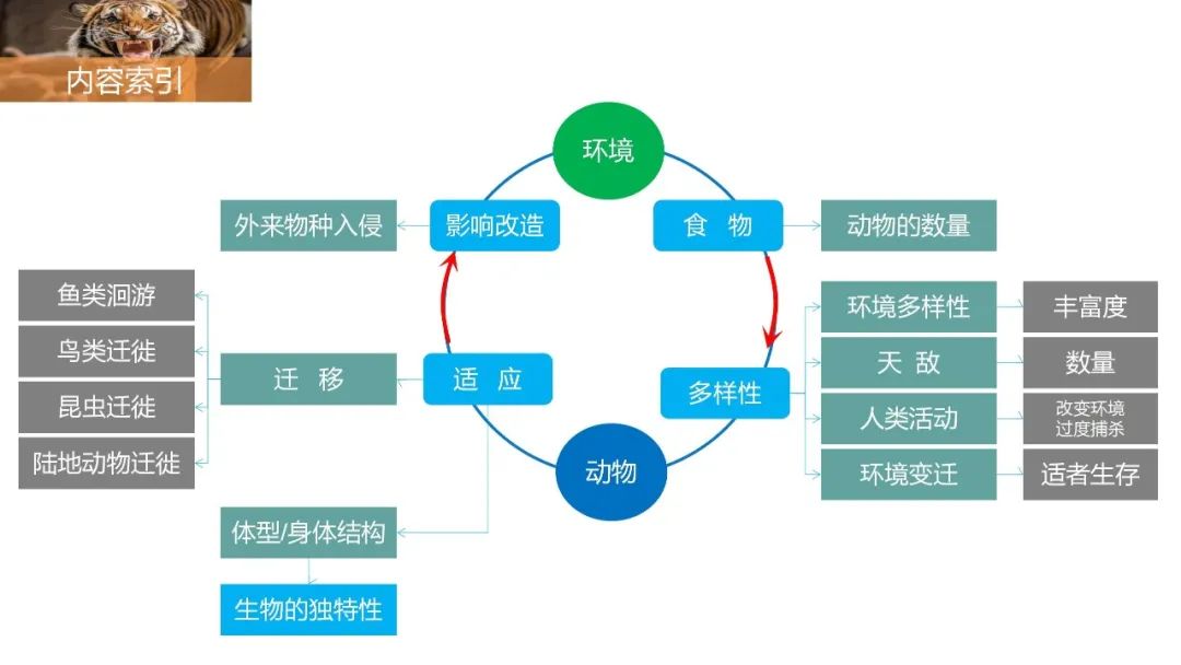 【技巧】突破微专题的捷径:读懂高考地理思维导图④ 第3张