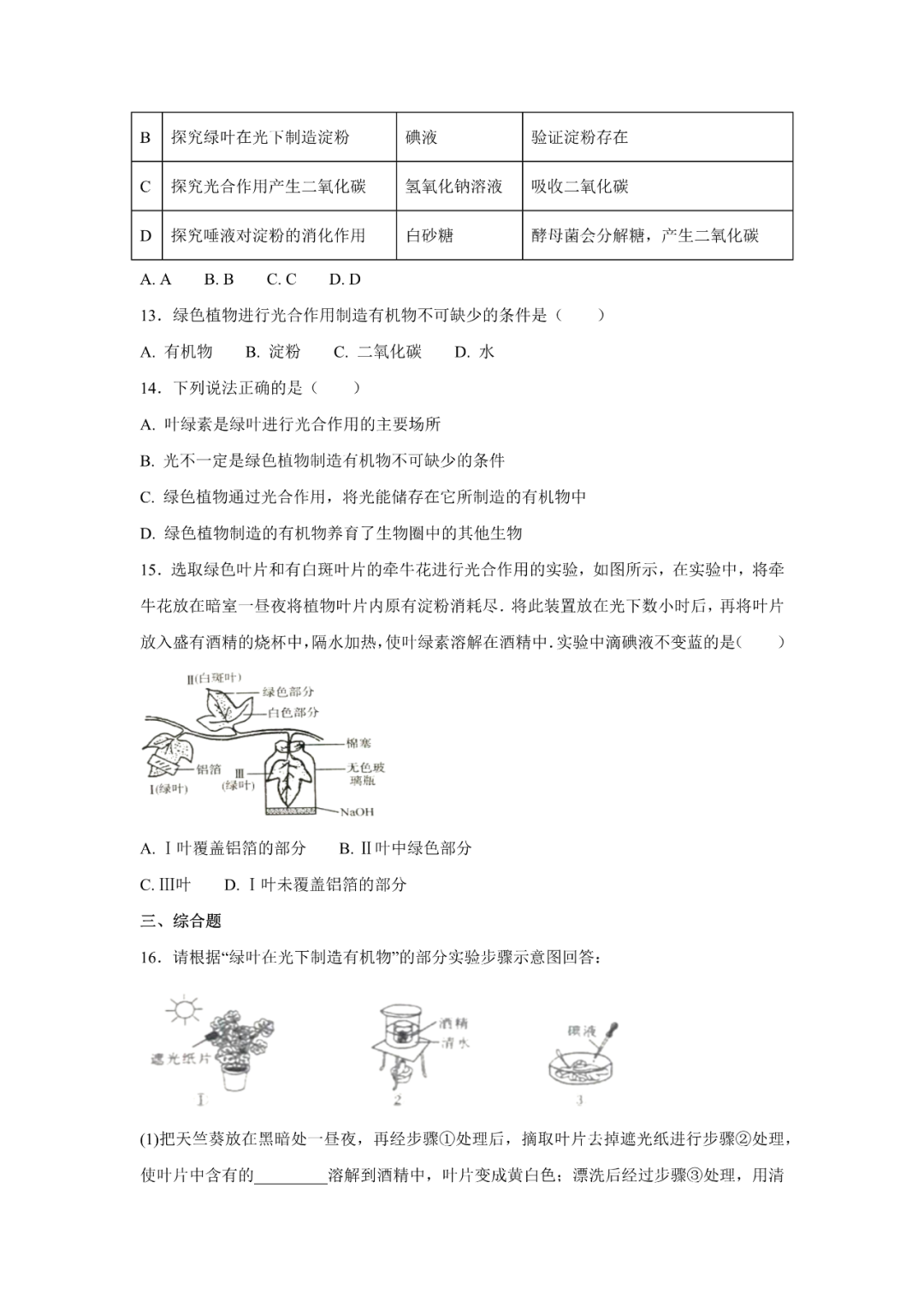 生物【中考总复习】——专项训练07《绿色植物与生物圈的水循环》 第4张