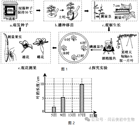 中考真题:2023年福建省中考生物试卷(后附答案) 第12张