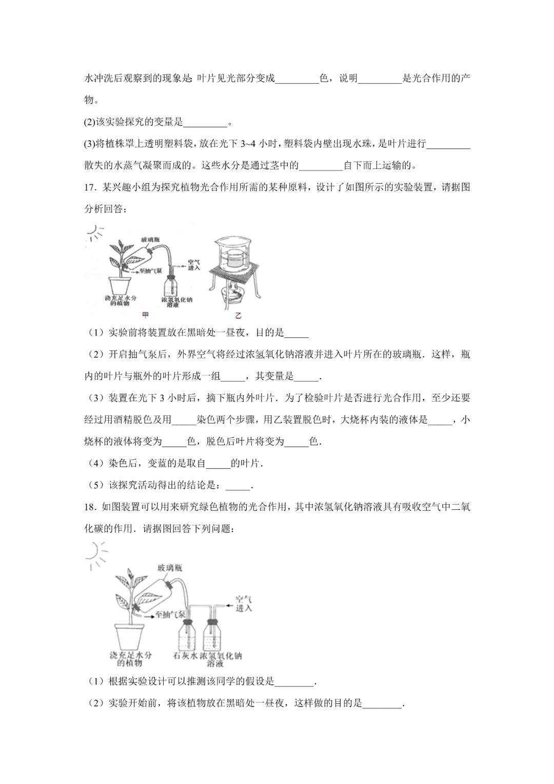 生物【中考总复习】——专项训练07《绿色植物与生物圈的水循环》 第5张