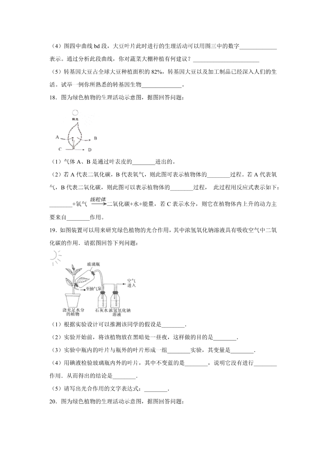 生物【中考总复习】——专项训练08《绿色植物的光合作用与呼吸作用》 第5张