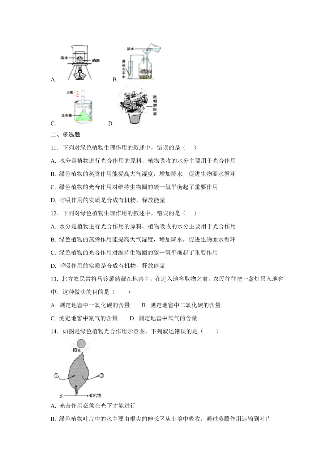 生物【中考总复习】——专项训练08《绿色植物的光合作用与呼吸作用》 第3张