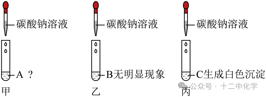 2024年中考一模化学试卷 第30张