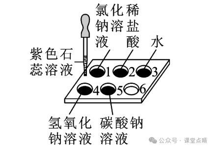 初中化学中考专题复习:实验题 第8张