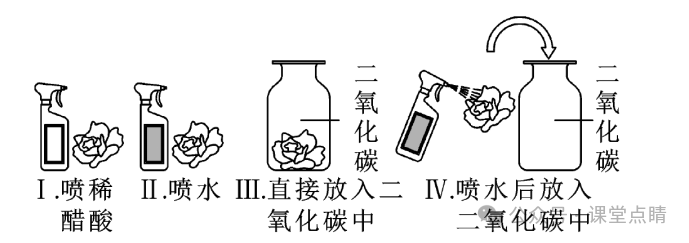 初中化学中考专题复习:实验题 第6张