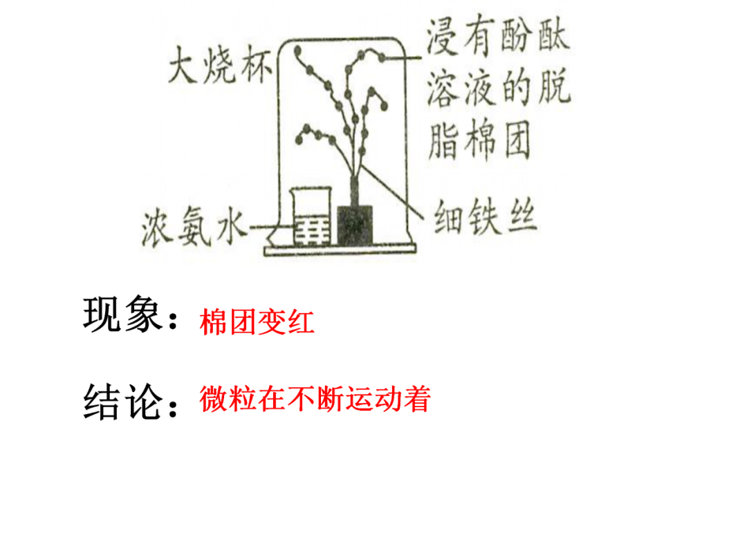 中考化学基础实验要点总结 第23张