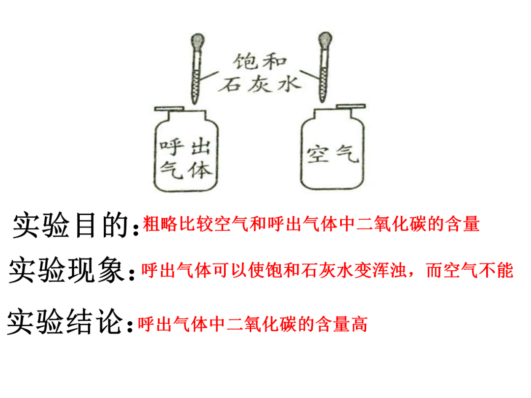 中考化学基础实验要点总结 第5张