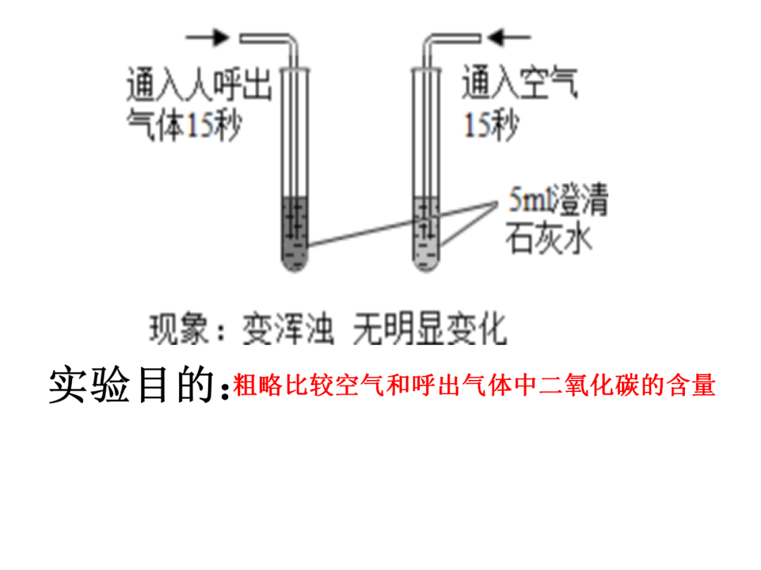 中考化学基础实验要点总结 第6张