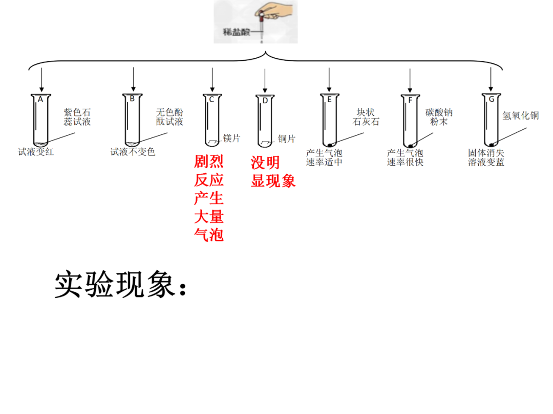 中考化学基础实验要点总结 第49张