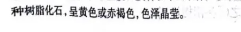 中考语文 | 2024河北省各地区一模卷含答案(共4套) 第5张