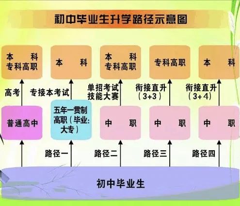 中考改革|五五分流政策的合理性 第6张