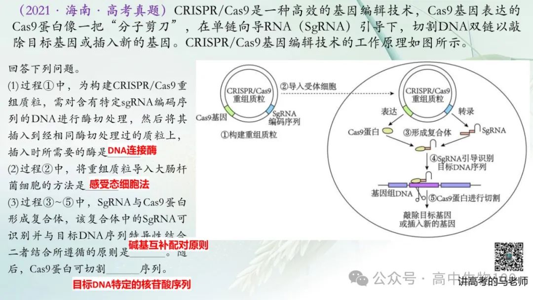 讲高考寻规律11:CRISPR/Cas9基因组编辑技术 第14张