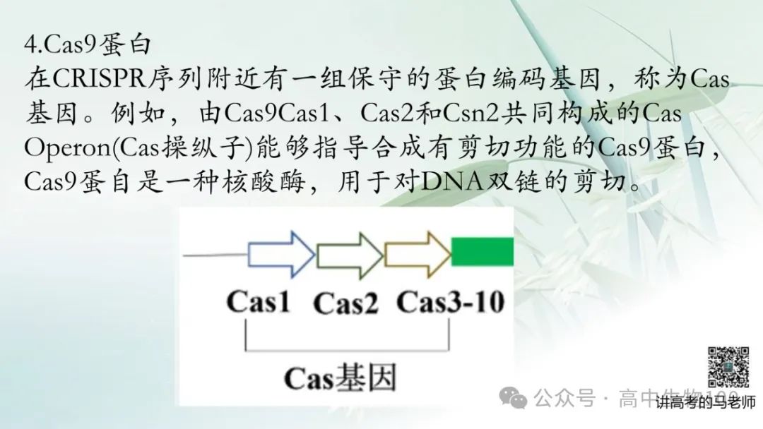 讲高考寻规律11:CRISPR/Cas9基因组编辑技术 第9张