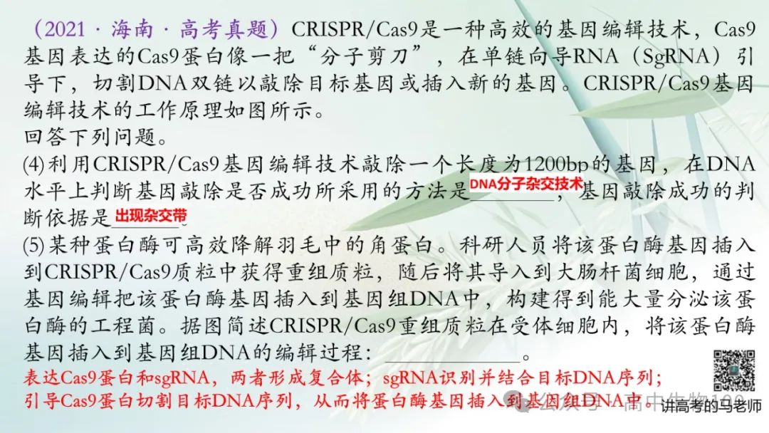 讲高考寻规律11:CRISPR/Cas9基因组编辑技术 第15张