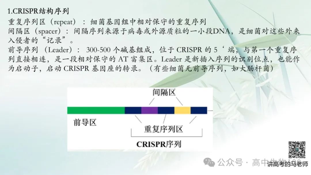 讲高考寻规律11:CRISPR/Cas9基因组编辑技术 第6张