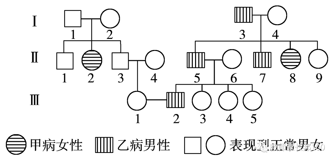 高考生物 | 遗传家族图谱和遗传实验快速解题技巧 第4张