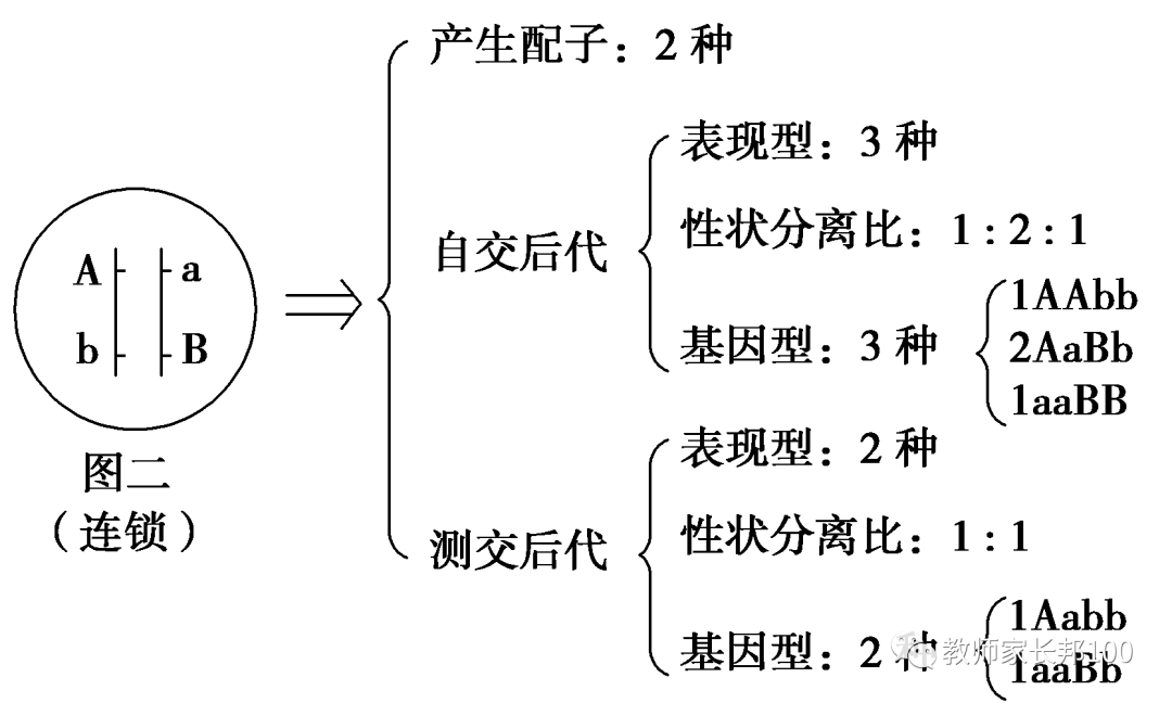 高考生物 | 遗传家族图谱和遗传实验快速解题技巧 第11张