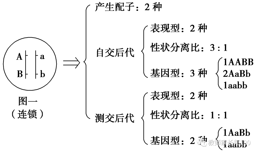 高考生物 | 遗传家族图谱和遗传实验快速解题技巧 第12张