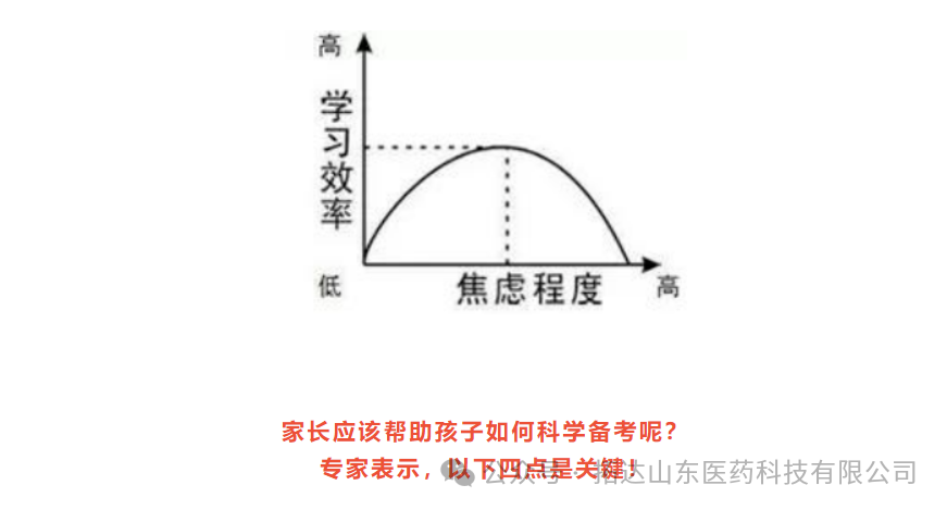 高考压力大,薄盖灵芝安神助睡眠,让高考学子元气满满冲刺目标! 第2张