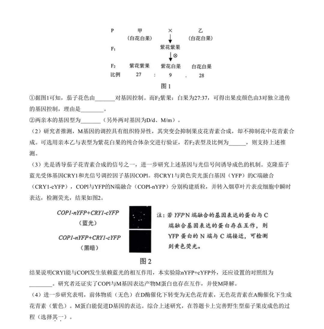 高考倒计时25天!没考好也别灰心,你不知道自己有多优秀! 第2张