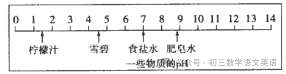 2024中考化学复习 | 真题训练【酸、碱、盐】热点题型,有答案 第2张