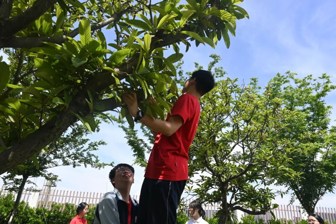 高考倒计时30日 | 穹窿山登峰筑梦 育英园攀高摘实 第56张