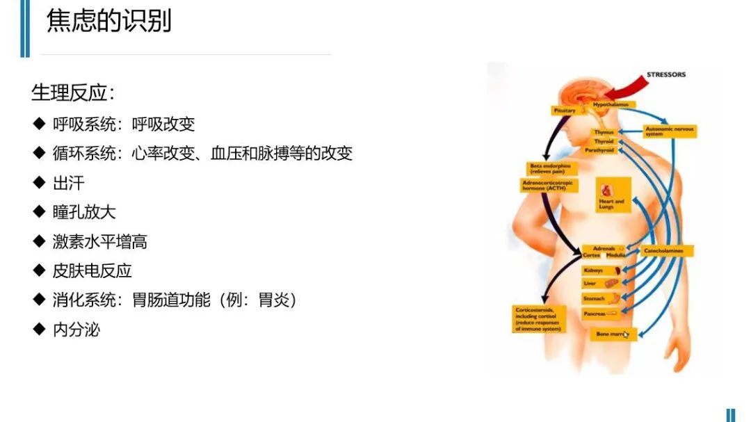 铁西区中考减压活动启动 第5张