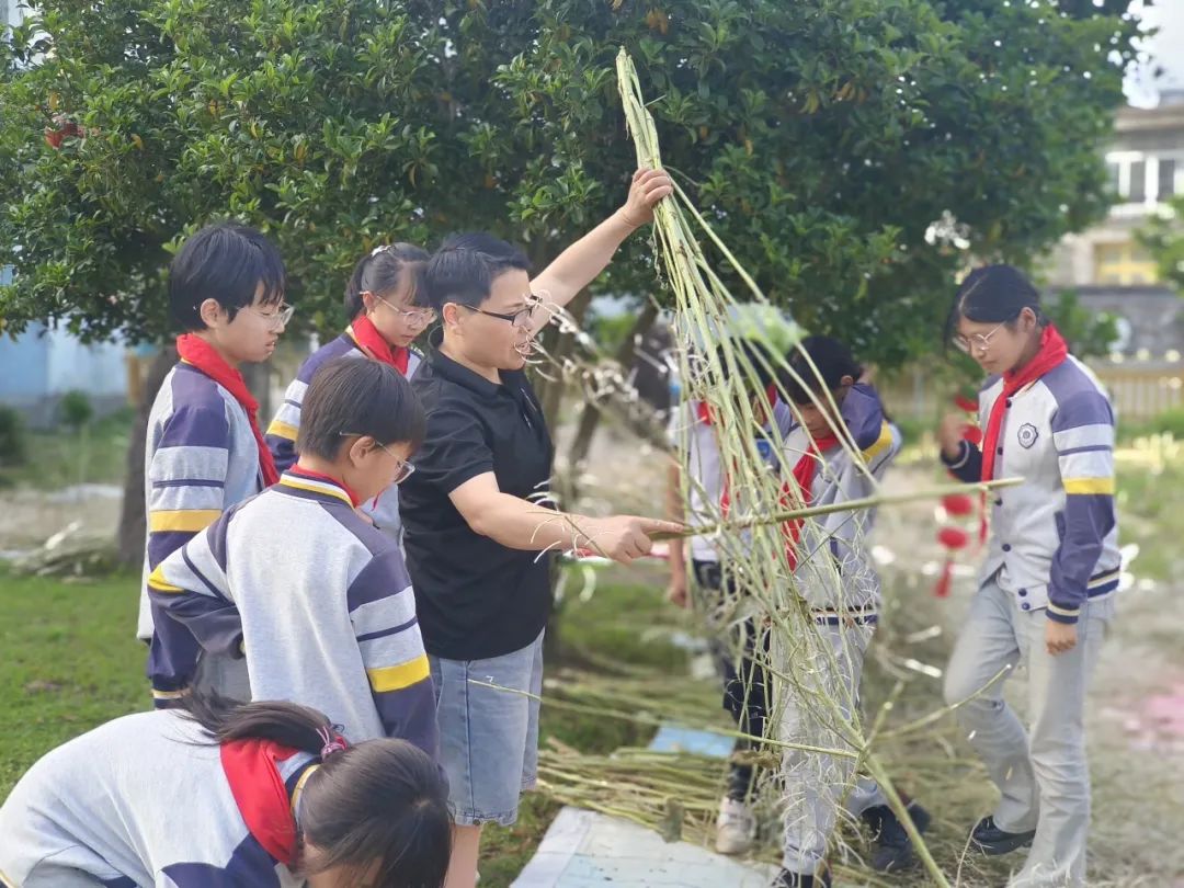 坦头镇第二小学第12周周报 第17张