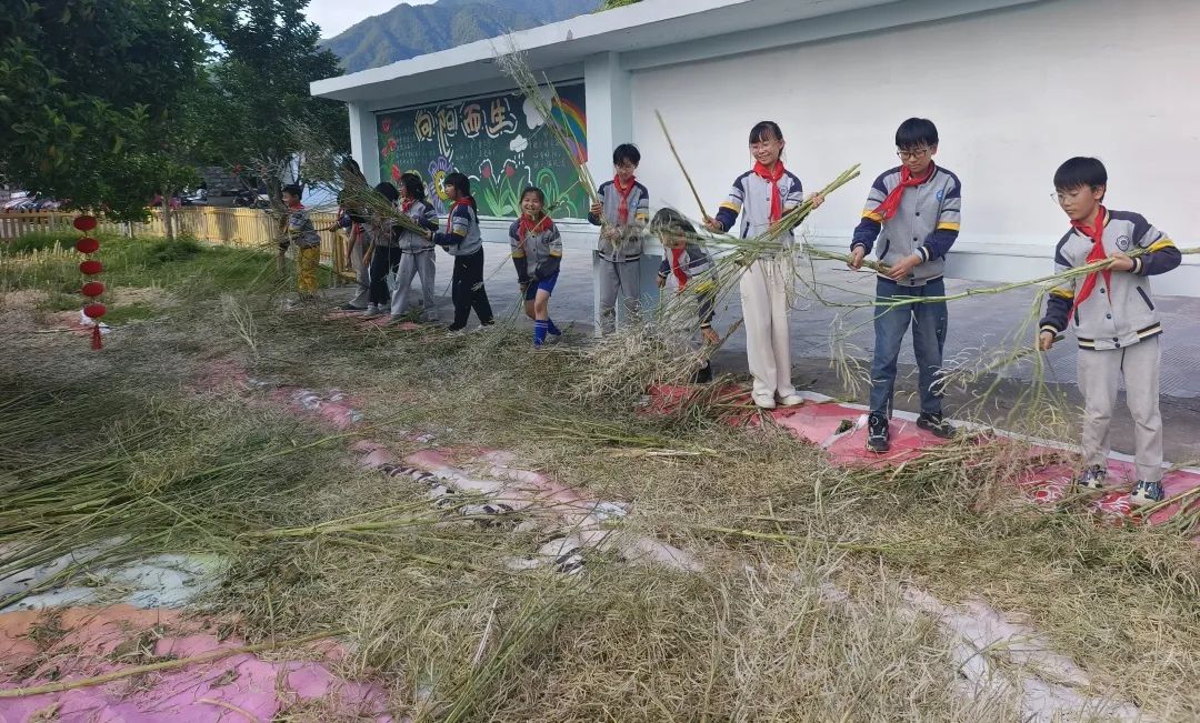 坦头镇第二小学第12周周报 第19张