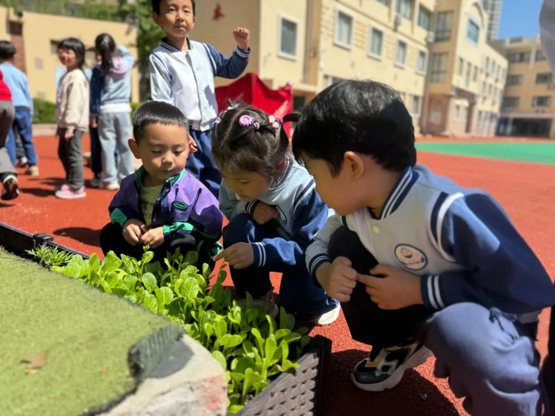 【乐善优教 悦动精研】“你好,小学”——青岛市市南区汶上路幼儿园参观小学活动小记 第9张