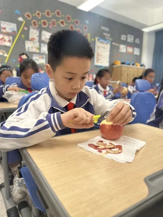 【凤栖小学·凤起德育】劳动技能大比拼  争做劳动小能手——德清县凤栖小学2024年劳动月劳动技能班级过关赛活动 第31张