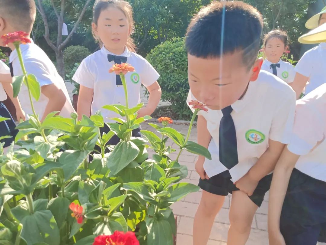 探秘小学  科学衔接——邰城幼儿园幼小衔接系列活动四 第36张