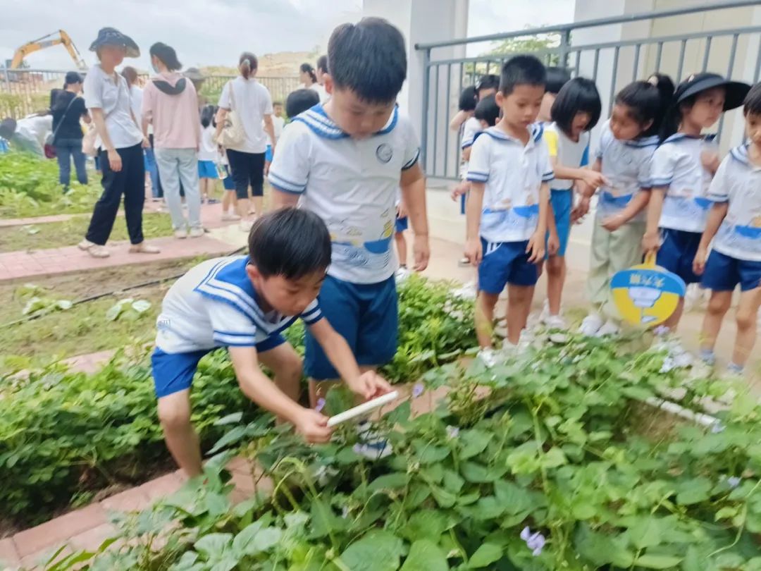 【学前教育宣传月】探小学之趣 赴成长之约——三亚市第一幼儿园走进小学活动 第67张