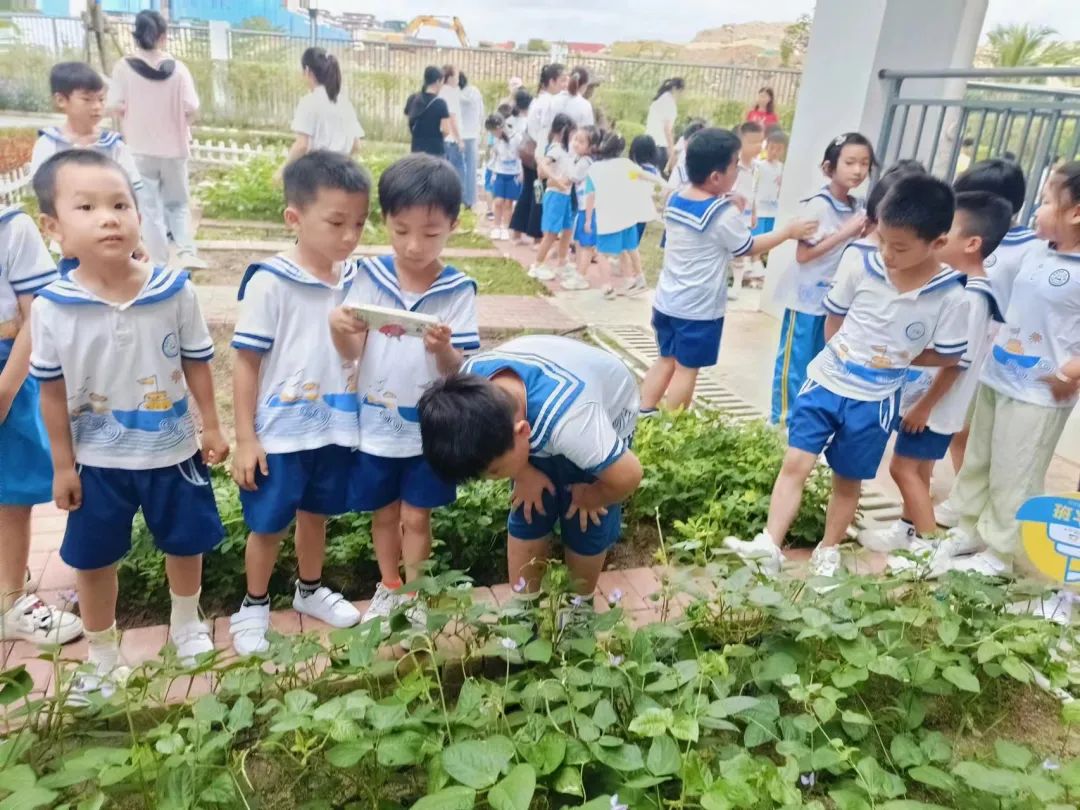 【学前教育宣传月】探小学之趣 赴成长之约——三亚市第一幼儿园走进小学活动 第70张