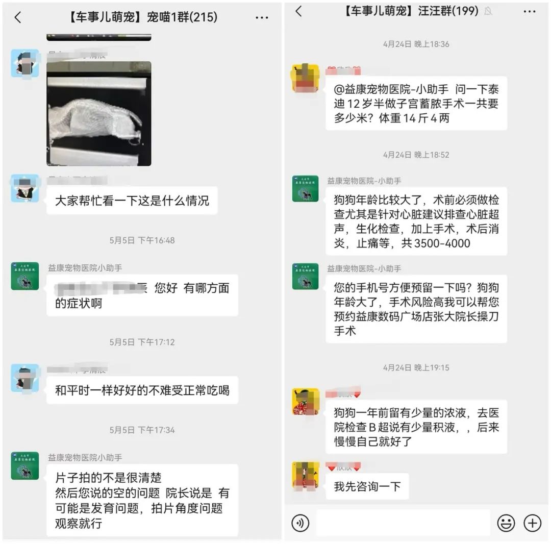 六一、端午、中高考齐至,送考车贴还没领?潮玩、自驾游还没规划? 第19张