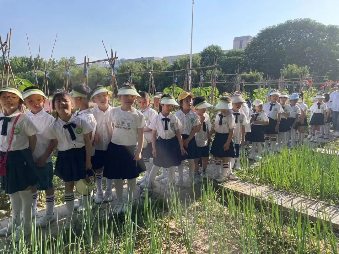 探秘小学  科学衔接——邰城幼儿园幼小衔接系列活动四 第37张