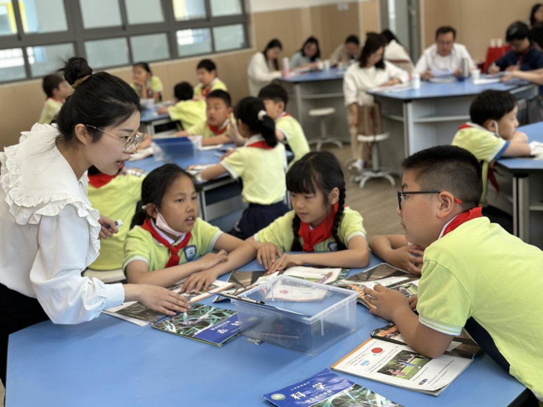 三区联动 教学交融 ——合肥市振兴小学、建平实验学校与南岗小学联合开展“同课异构”教学教研活动 第5张