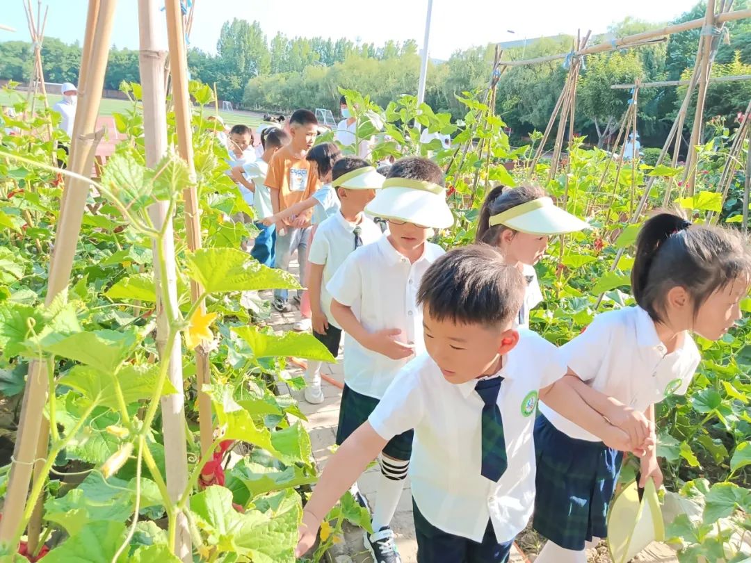 探秘小学  科学衔接——邰城幼儿园幼小衔接系列活动四 第30张