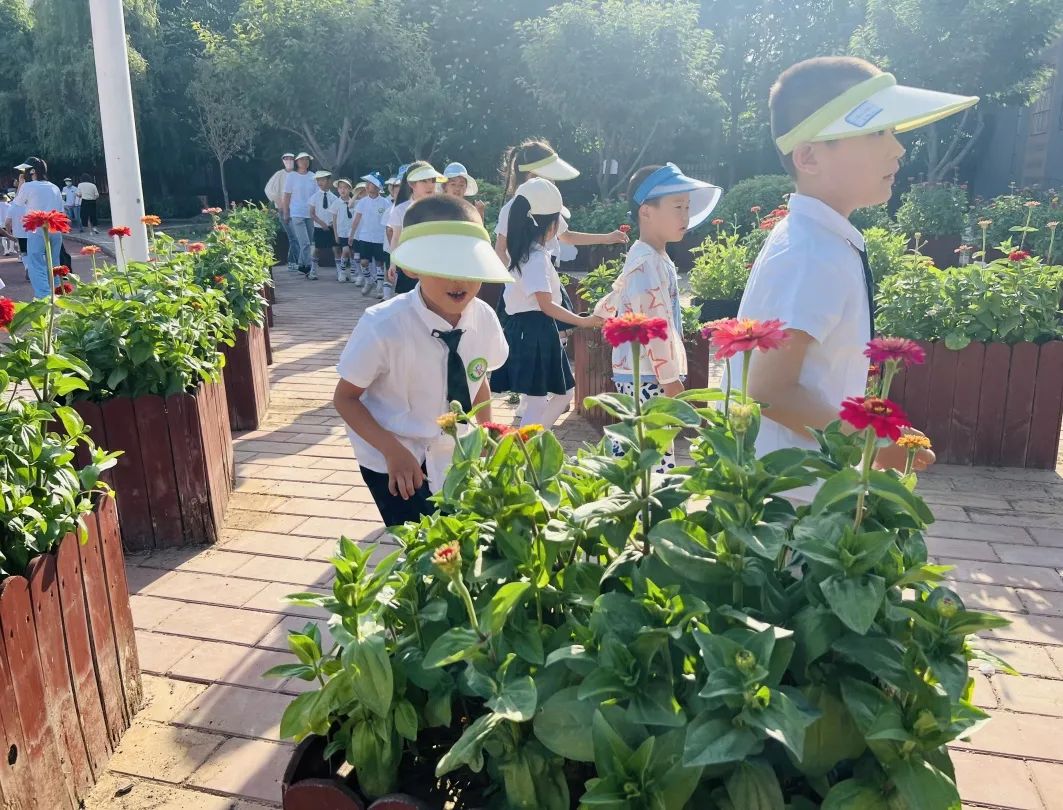 探秘小学  科学衔接——邰城幼儿园幼小衔接系列活动四 第29张