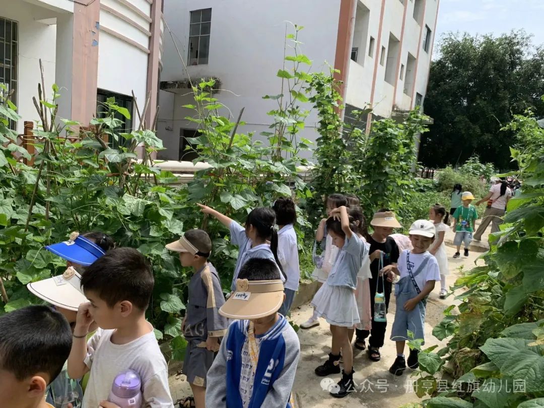 小学初体验,衔接幼成长——册亨县红旗幼儿园2024年大班组参观小学活动 第19张